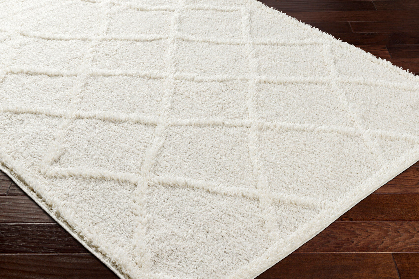Rodos RDO-2301 6' x 9' Machine Woven Area Rug