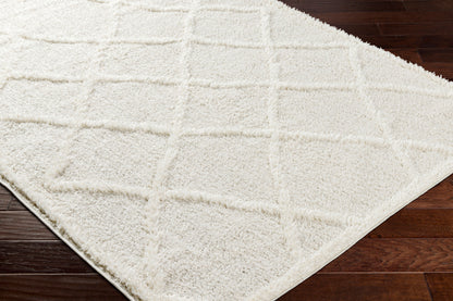 Rodos RDO-2301 6' x 9' Machine Woven Area Rug