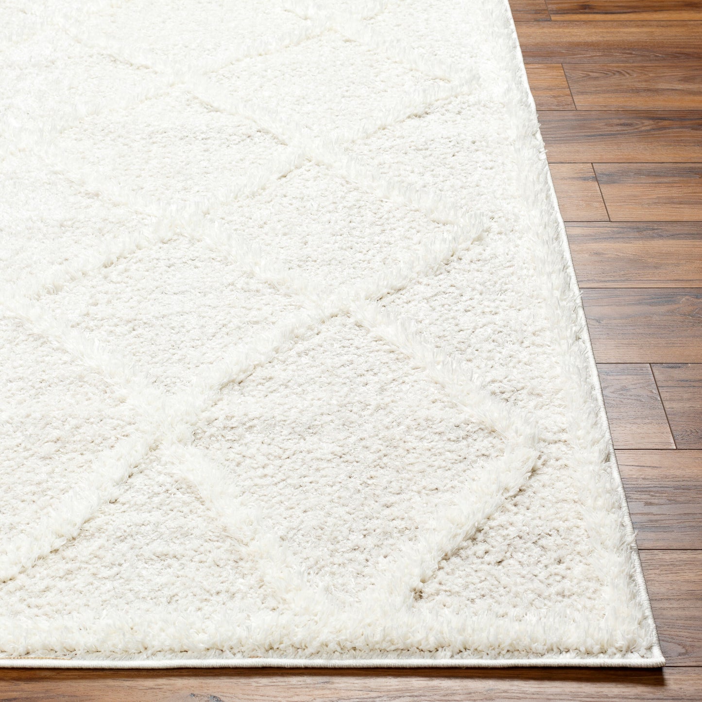 Rodos RDO-2301 6' x 9' Machine Woven Area Rug