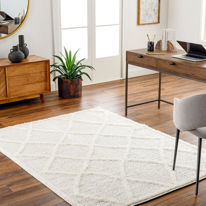 Rodos RDO-2301 6' x 9' Machine Woven Area Rug