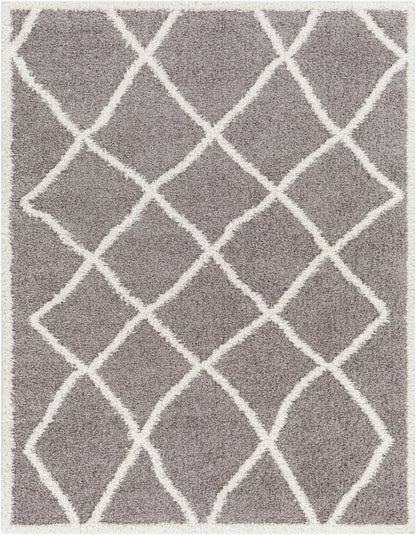 Rodos RDO-2303 5' x 7' Machine Woven Area Rug