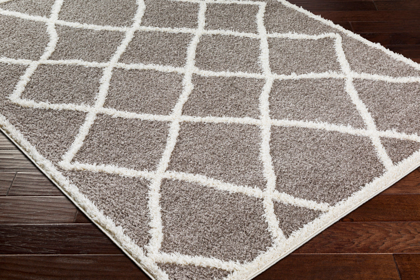 Rodos RDO-2303 5' x 7' Machine Woven Area Rug
