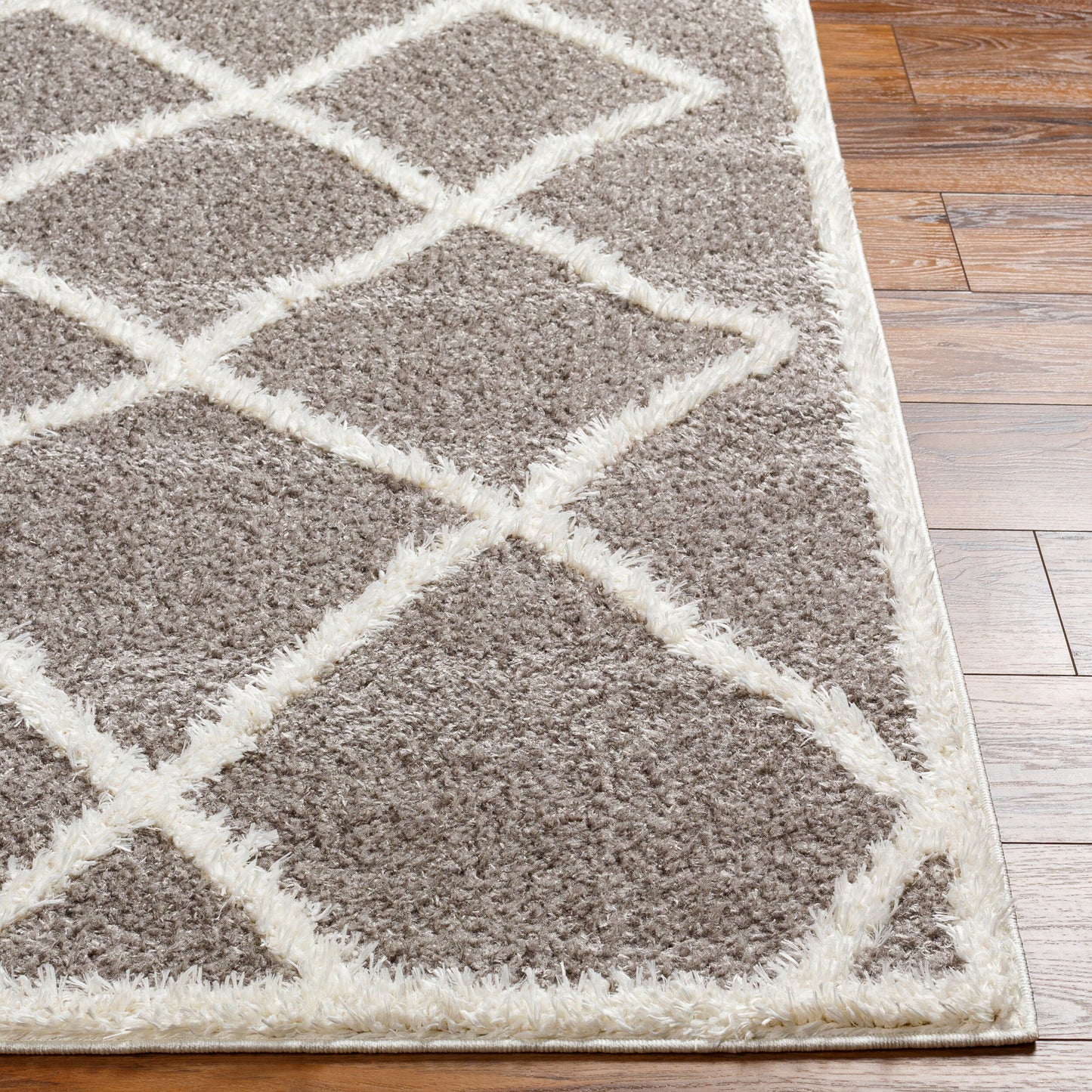 Rodos RDO-2303 5' x 7' Machine Woven Area Rug