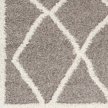 Rodos RDO-2303 5' x 7' Machine Woven Area Rug