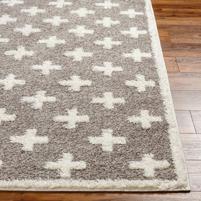 Rodos RDO-2305 5' x 7' Machine Woven Area Rug