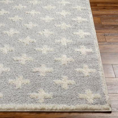 Rodos RDO-2306 8' x 10' Machine Woven Area Rug