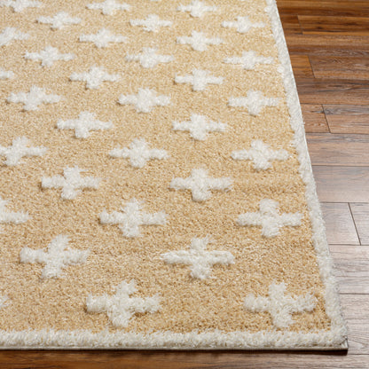 Rodos RDO-2307 5' x 7' Machine Woven Area Rug