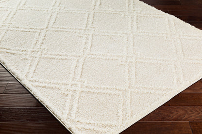 Rodos RDO-2312 6' x 9' Machine Woven Area Rug