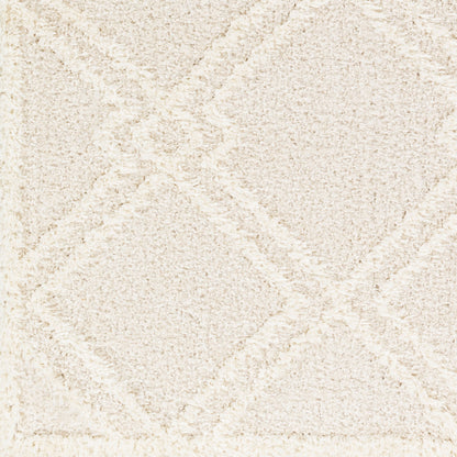 Rodos RDO-2312 5' x 7' Machine Woven Area Rug