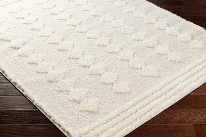 Rodos RDO-2319 8' x 10' Machine Woven Area Rug