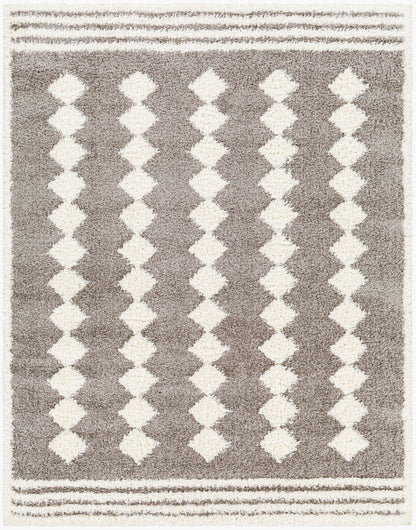 Rodos RDO-2320 8' x 10' Machine Woven Area Rug