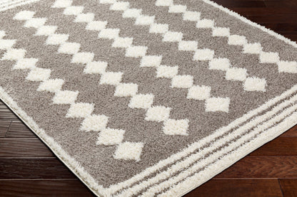 Rodos RDO-2320 8' x 10' Machine Woven Area Rug