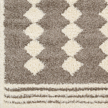 Rodos RDO-2320 8' x 10' Machine Woven Area Rug