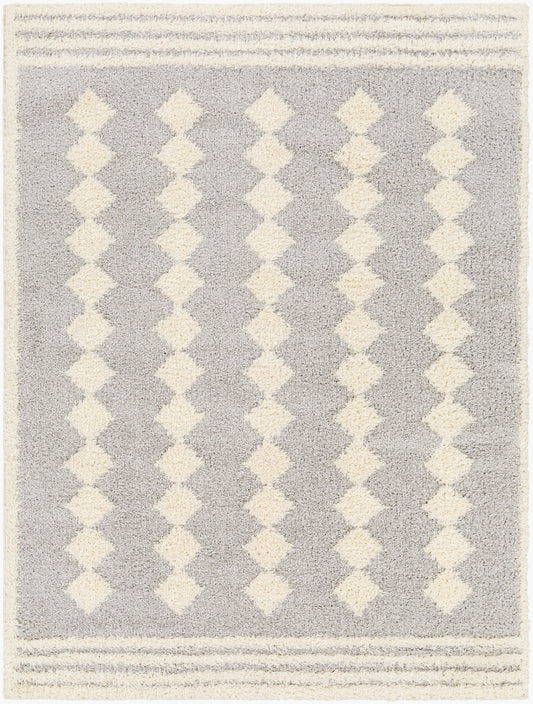 Rodos RDO-2321 5' x 7' Machine Woven Area Rug