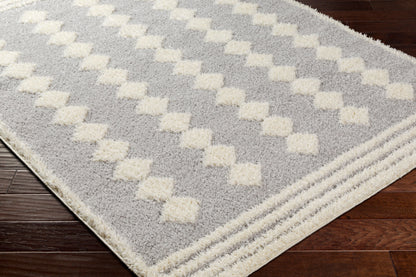 Rodos RDO-2321 5' x 7' Machine Woven Area Rug