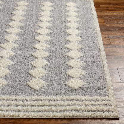 Rodos RDO-2321 5' x 7' Machine Woven Area Rug