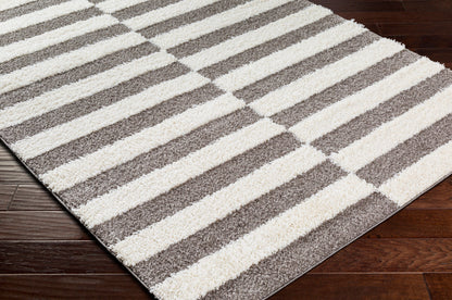 Rodos RDO-2326 8' x 10' Machine Woven Area Rug