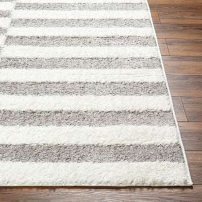 Rodos RDO-2326 8' x 10' Machine Woven Area Rug
