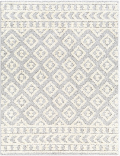 Rodos RDO-2338 5' x 7' Machine Woven Area Rug