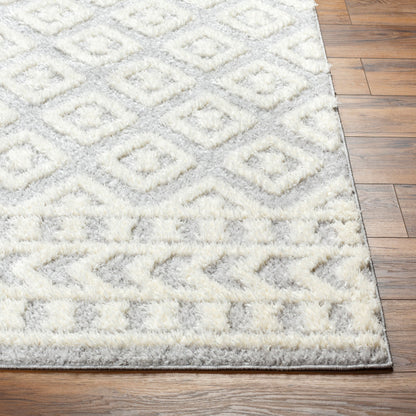 Rodos RDO-2338 5' x 7' Machine Woven Area Rug