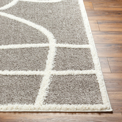 Rodos RDO-2339 8' x 10' Machine Woven Area Rug