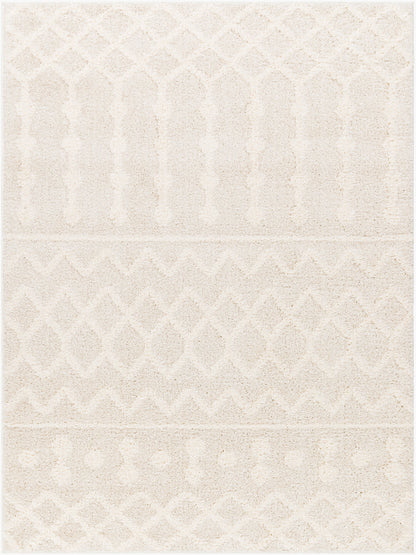 Rodos RDO-2343 5' x 7' Machine Woven Area Rug