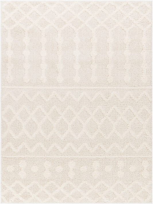 Rodos RDO-2343 5' x 7' Machine Woven Area Rug