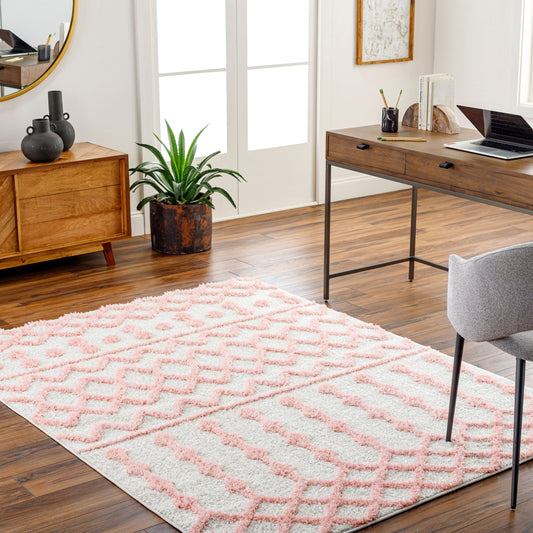 Rodos RDO-2344 6' x 9' Machine Woven Area Rug
