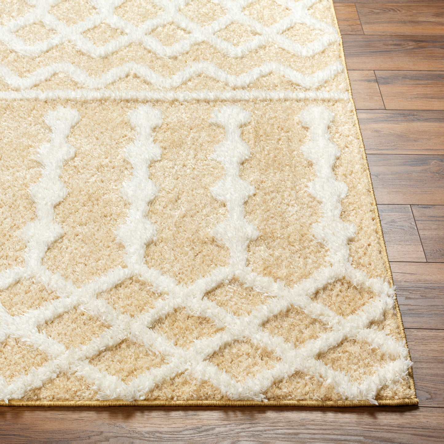 Rodos RDO-2345 8' x 10' Machine Woven Area Rug