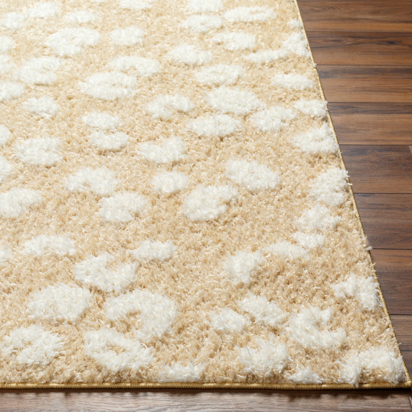 Rodos RDO-2346 6' x 9' Machine Woven Area Rug