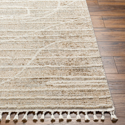Rudy RDY-2304 8' x 10' Machine Woven Area Rug