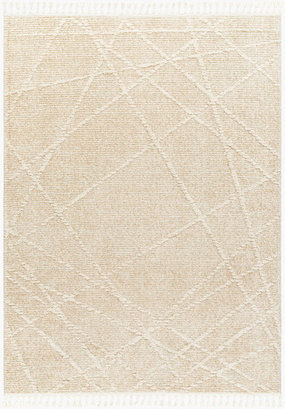 Rudy RDY-2307 8' x 10' Machine Woven Area Rug