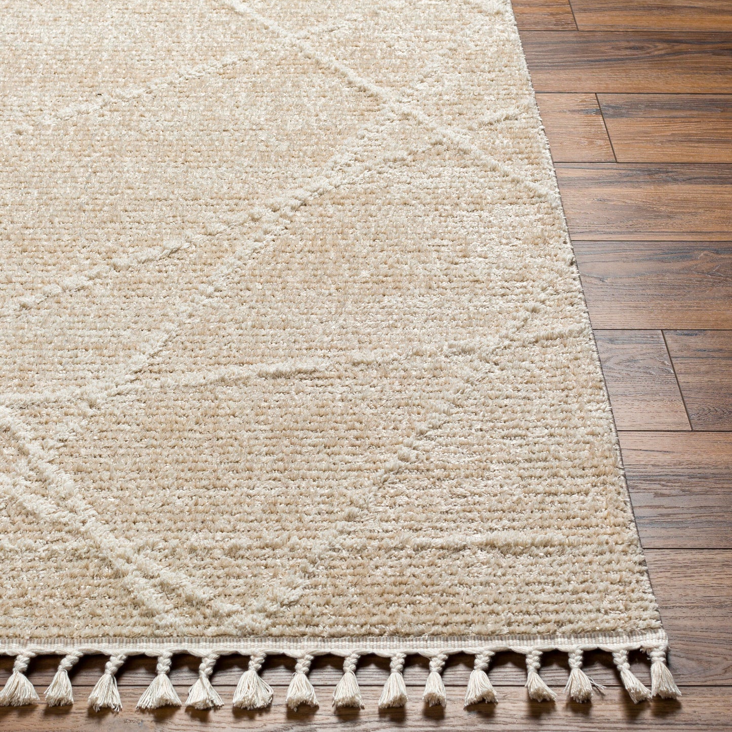 Rudy RDY-2307 8' x 10' Machine Woven Area Rug