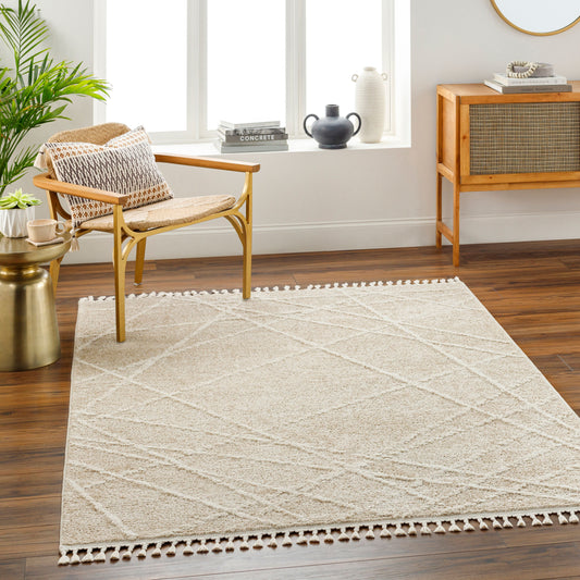 Rudy RDY-2307 8' x 10' Machine Woven Area Rug