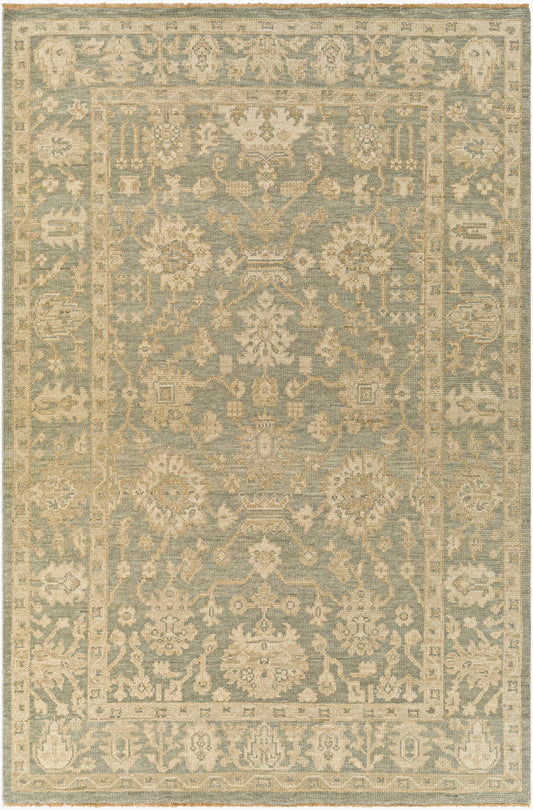 Reign REG-2306 2' x 3' Handmade Wool Accent Rug
