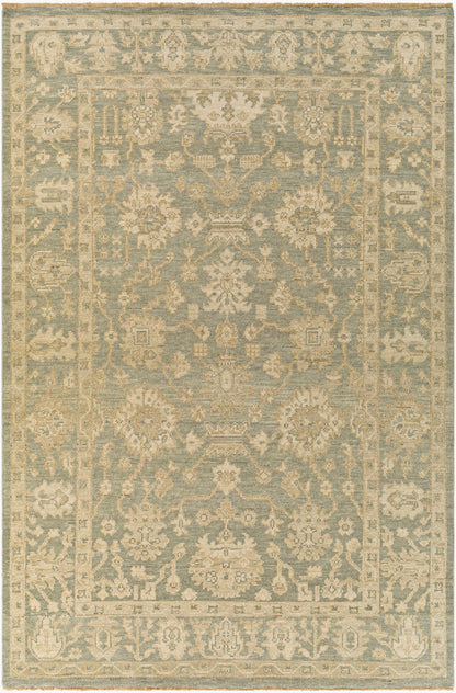 Reign REG-2306 Hand Knotted Rug