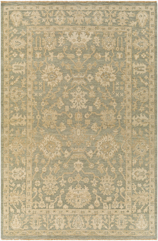 Reign REG-2306 Hand Knotted Rug