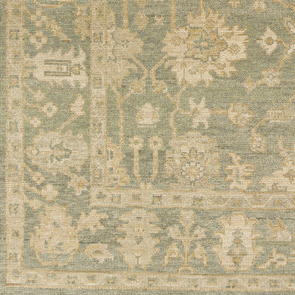 Reign REG-2306 2' x 3' Handmade Wool Accent Rug