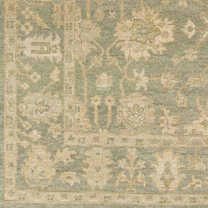 Reign REG-2306 Hand Knotted Rug