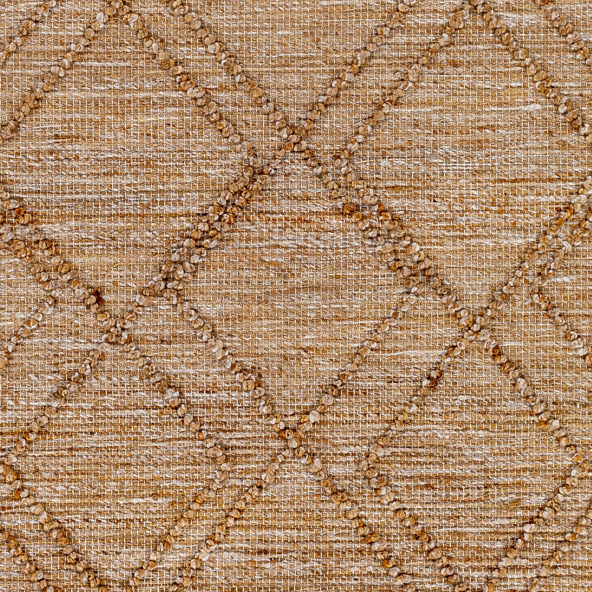Regal RGL-2302 Hand Woven Rug