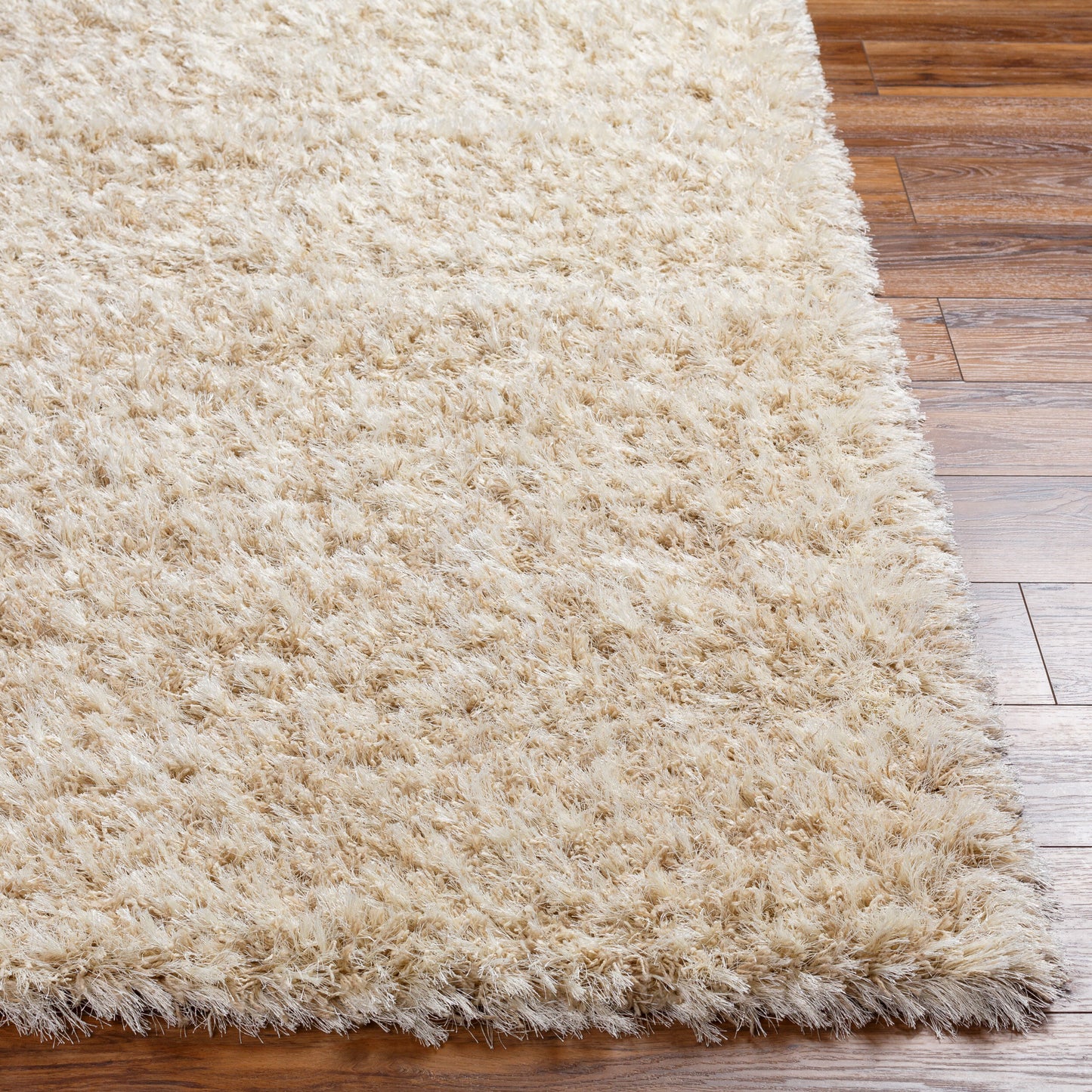 Rhapsody RHA-1002 2' x 3' Machine Woven Accent Rug
