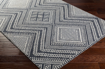 Ariana RIA-2301 Machine Woven Rug