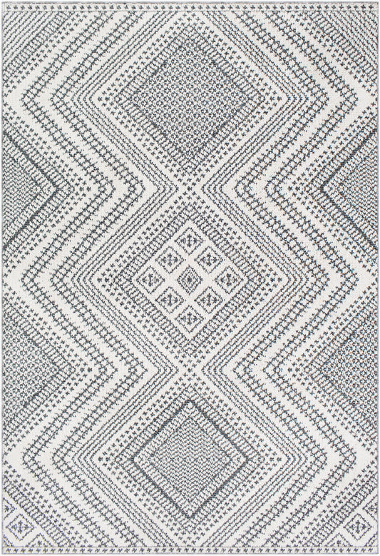 Ariana RIA-2302 Machine Woven Rug