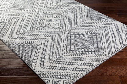 Ariana RIA-2302 2' x 3' Machine Woven Accent Rug