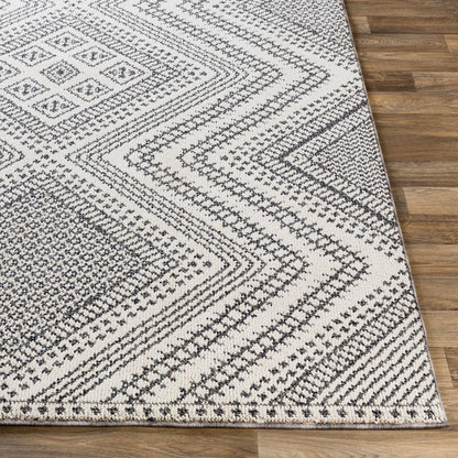 Ariana RIA-2302 2' x 3' Machine Woven Accent Rug