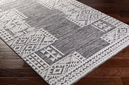 Ariana RIA-2306 2' x 3' Machine Woven Accent Rug