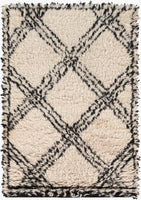 2' x 3'