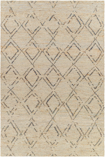 Riah RIH-2300 Hand Woven Rug