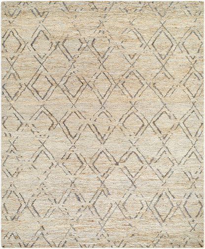 Riah RIH-2300 Hand Woven Rug