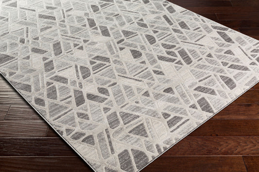 Alfombra tejida a máquina Remy RMY-2309 de 1,52 m x 2,13 m